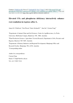 Elevated CO<sub>2</sub> and phosphorus deficiency interactively enhance root exudation in Lupinus albus L.