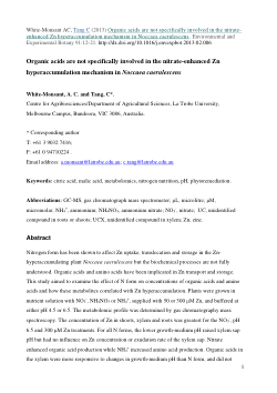 Organic acids are not specifically involved in the nitrate-enhanced Zn hyperaccumulation mechanism in Noccaea caerulescens