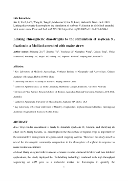 Linking rhizospheric diazotrophs to the stimulation of soybean N<sub>2</sub> fixation in a Mollisol amended with maize straw