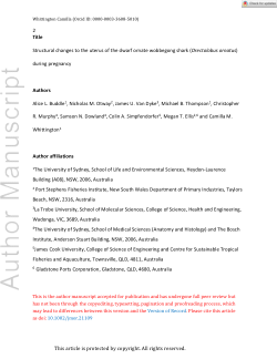 Structural changes to the uterus of the dwarf ornatewobbegong shark (Orectolobusornatus) during pregnancy