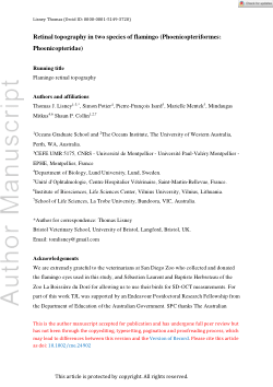 Retinal topography in two species of flamingo (Phoenicopteriformes: Phoenicopteridae)