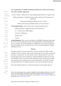 An examination of public hospital productivity and its persistence: an index number approach