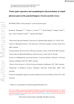 Visual opsin expression and morphological characterisation of retinal photoreceptors in the pouched lamprey (Geotria australis, Gray).