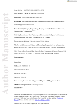 Functional characterization of the three Oryza sativa SPX-MFS proteins in maintaining phosphate homoeostasis