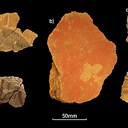 Vine St Leicester Roman Townhouse Fresco Painted Wall Plaster