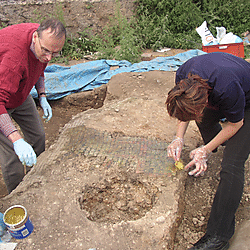 Vine St Leicester Roman Townhouse Mosaic Floors And Tesserae