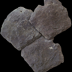 Vine St Leicester Roman Townhouse Roman Roof Slates Craftworking