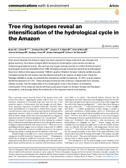 Tree ring isotopes reveal an intensification of the hydrological cycle in the Amazon