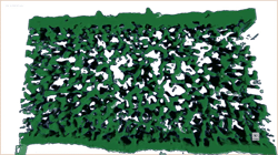 Lepidiota Stigma Scale Video reconstruction