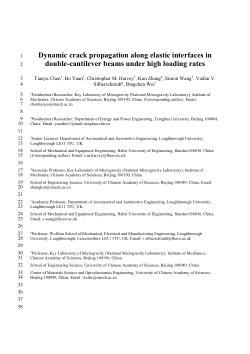 Dynamic crack propagation along elastic interfaces in double cantilever beams under high loading rates