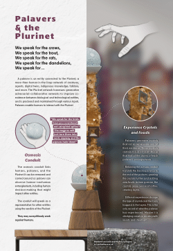 Palavers and the Plurinet