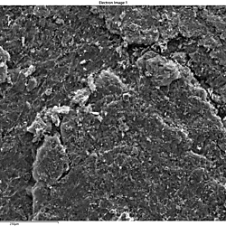 SEM - Zeiss Ultra 55 IV