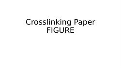 Dataset of <i>S</i><i>olvent-free Crosslinking of Hydroxypropyl Cellulose via Esterification: Towards Green</i><i> Bioplastics</i>