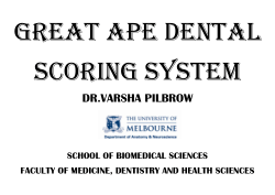 Great Ape Dental Scoring System 3D PDF Incisors
