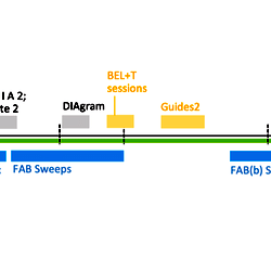 DIA development: BEL+T 2020 activity timeline