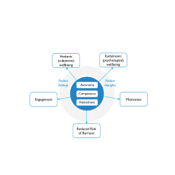 Basic psychological needs as a mental wellbeing common core