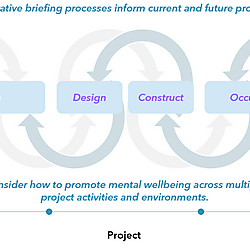 Promoting Mental Wellbeing via the Integrative Briefing Process