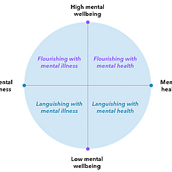 The Dual Mental Health Continuum for Architects