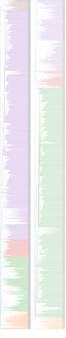 Supplementary Files for "Global picoplankton biogeography revealed by metagenomic and climatic data integration", Salazar <i>et al.</i> 2024.