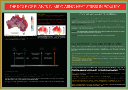The Role of Trees in Mitigating Heat Stress in Poultry