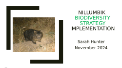 Biodiversity Strategies powerpoint presentation