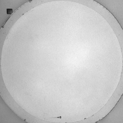 Datasets of zebrafish larvae poses - annotated frames and videos