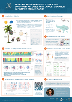 Seasonal sap tapping affects microbial community assembly and flavour formation in palm wine fermentation