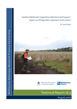 MWRPP Report 16.3: Seaford Wetlands Vegetation Monitoring Program: report on Phragmites expansion and control.