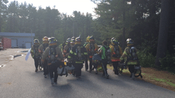 Figure 6 Across the fire ground (PESP)