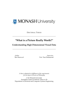Understanding High Dimensional Visual Data