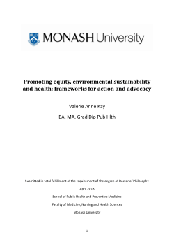 Promoting equity, environmental sustainability and health: frameworks for action and advocacy