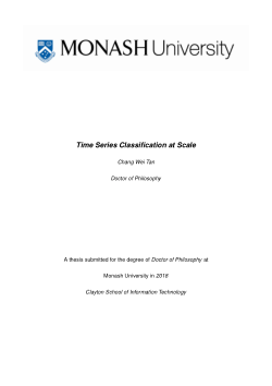 Time Series Classification at Scale