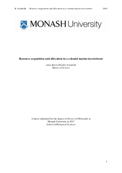 Resource acquisition and allocation in a colonial marine invertebrate
