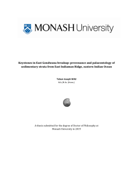 Keystones in East Gondwana breakup: provenance and palaeontology of sedimentary strata from East Indiaman Ridge, eastern Indian Ocean