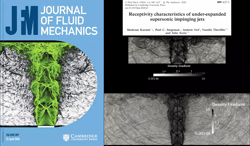 Receptivity characteristics of under-expanded supersonic impinging jets