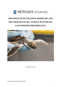 The role of incubation moisture and metabolism in sea turtle hatching locomotor performance