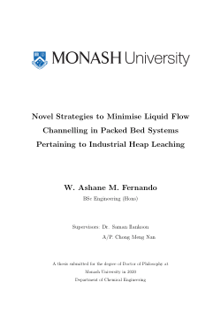 Novel Strategies to Minimise Liquid Flow Channelling in Packed Bed Systems Pertaining to Industrial Heap Leaching