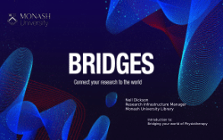 Bridging your world of Physiotherapy , presentation