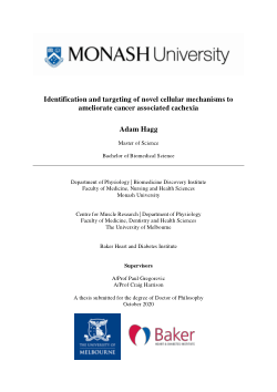 Identification and targeting of novel cellular mechanisms to ameliorate cancer associated cachexia