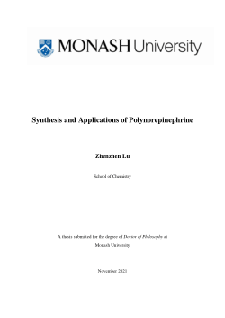 Synthesis and Applications of Polynorepinephrine