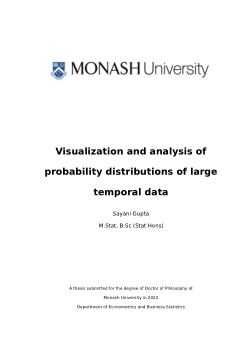 Visualization and analysis of probability distributions of large temporal data