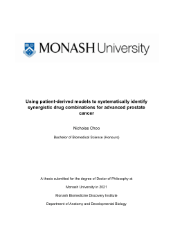 Using patient-derived models to systematically identify synergistic drug combinations for advanced prostate cancer