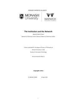 The institution and the network