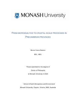 From microanalysis to crustal-scale processes in Precambrian Provinces
