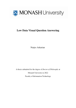 Low Data Visual Question Answering