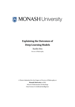 Explaining the Outcomes of Deep Learning Models