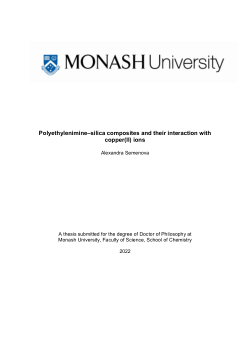 Polyethylenimine–silica composites and their interaction with copper(II) ions
