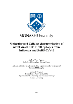 Molecular and Cellular characterisation of novel viral CD8+ T cell epitopes from Influenza and SARS-CoV-2