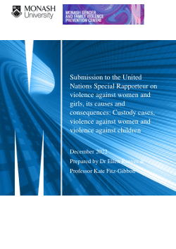 Submission to the United Nations Inquiry into Custody cases, violence against women and violence against children.