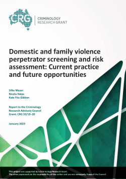 Domestic and family violence perpetrator screening and risk assessment: Current practice and future opportunities
